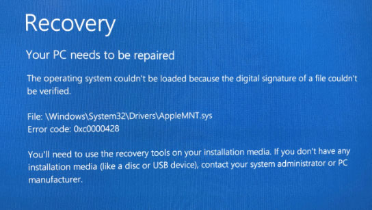 Ошибка 0xc0000428 при запуске или установке Windows 11 - фото №1